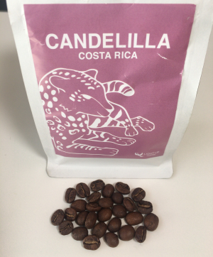 浅煎りで仕上げたコスタリカ産のコーヒー豆「カンデリージャ」をいただく（LIGHT UP COFFEE）